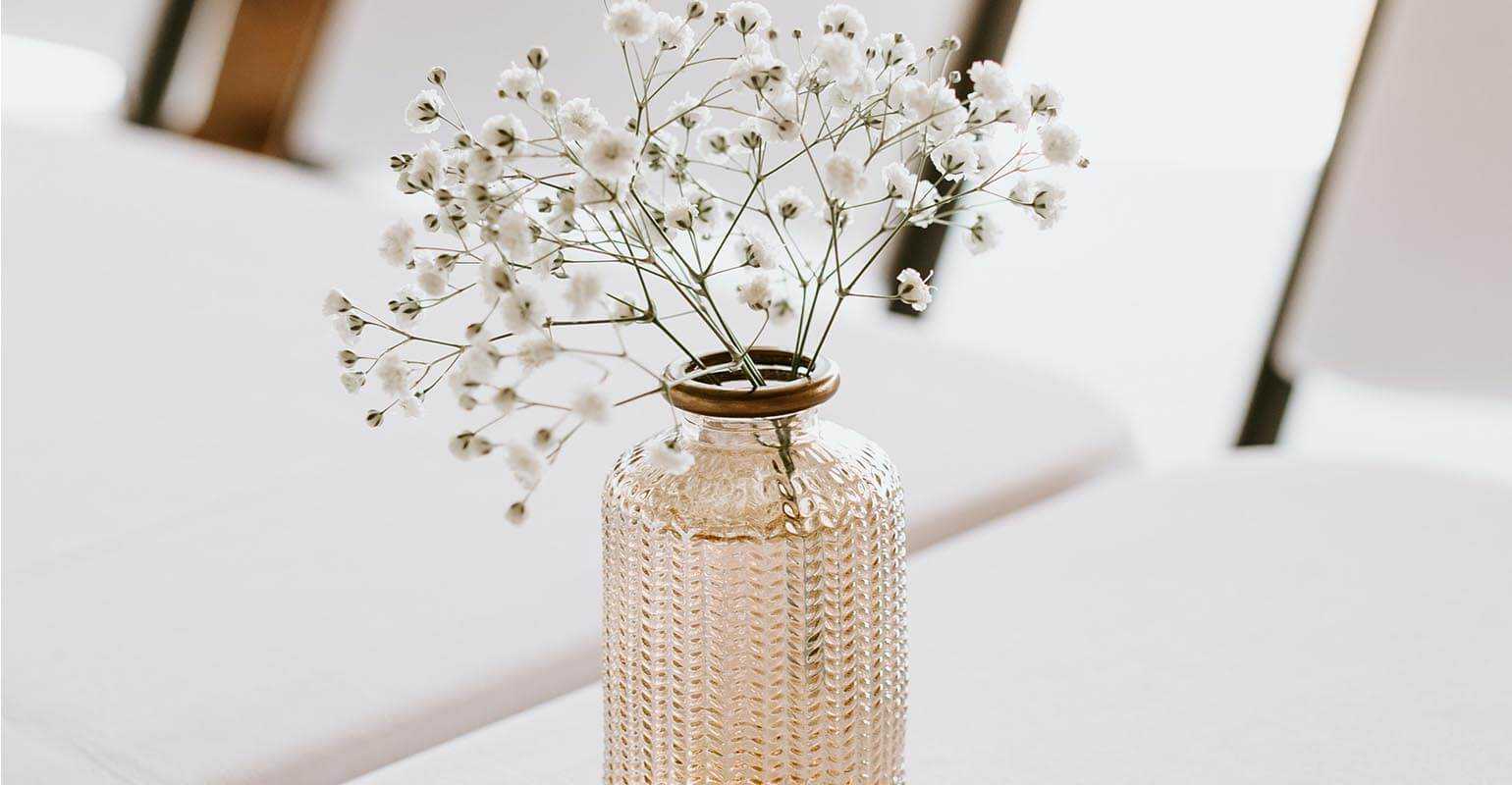 Ein klares Stillleben, das mit dem Bildschärfungswerkzeug von Fotor geschärft wurde