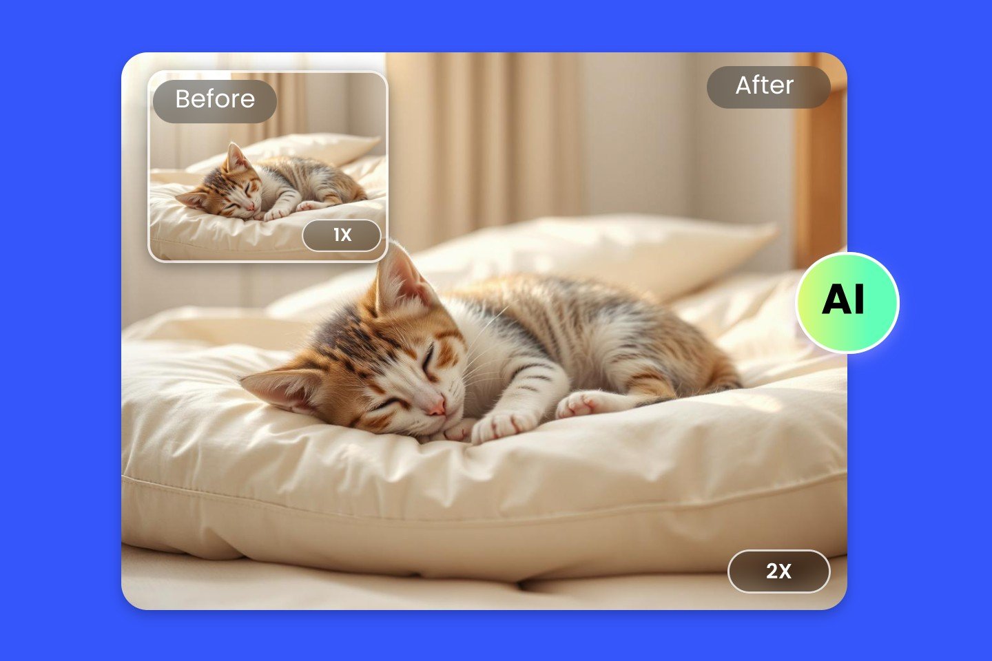 Fotor image enlarger to enlarge a picture of sleeping cat to two times